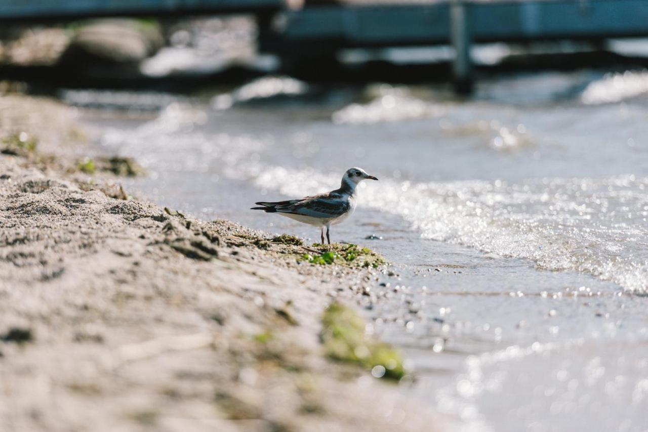 Insel Der Sinne ゲルリッツ エクステリア 写真